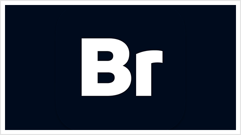 Adobe Bridge 2026 (v16.0.7.36.00) 中文版
